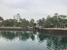 画像をギャラリービューアに読み込む, 瀬戸神社・琵琶島修復
